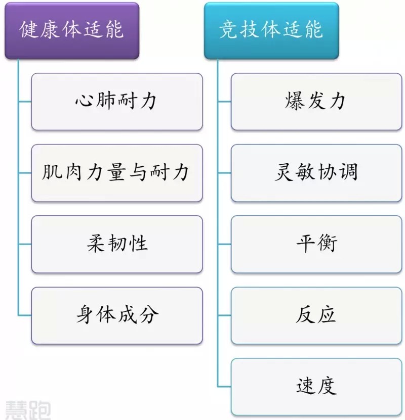 制定篮球交流计划以促进个人技能发展的方法_0